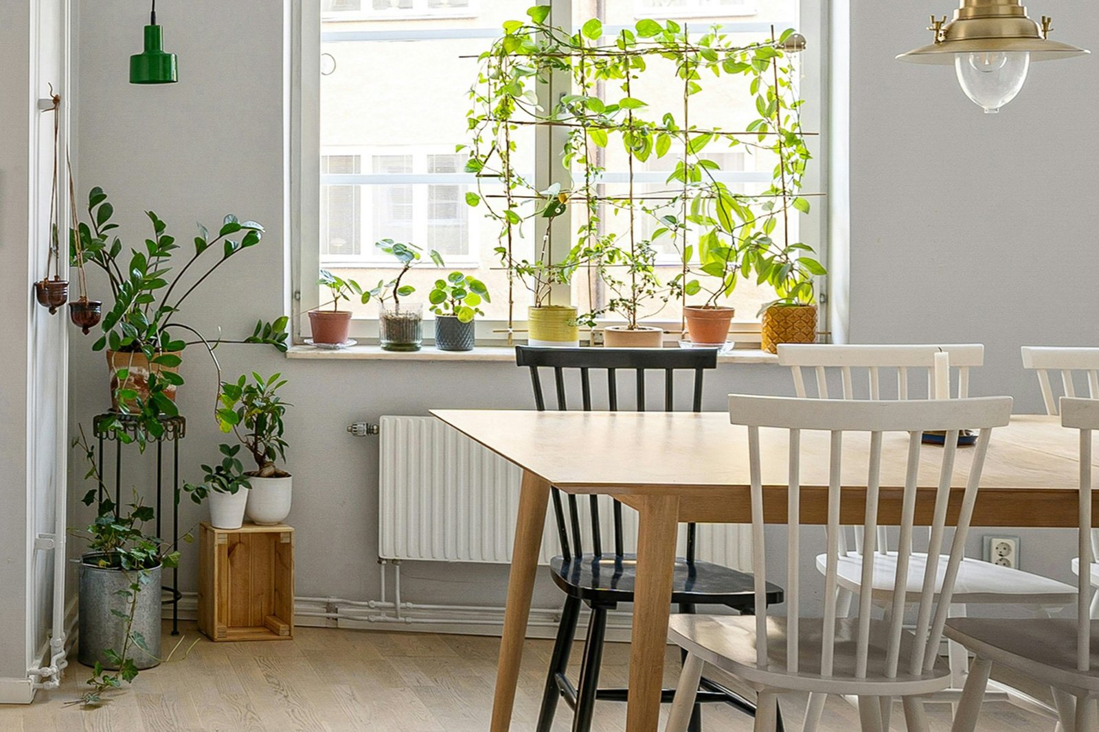 Thermostatventil an einem Heizkörper